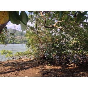 รูปถ่าย คอสตาริกา(Costa Rica) โดมินิกัล(Dominical) 2015-03 69