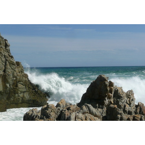 รูปถ่าย แอฟริกาใต้(South Africa) อุทยานแห่งชาติซิตซิคัมมา(Tsitsikamma National Park) 2008-09 251