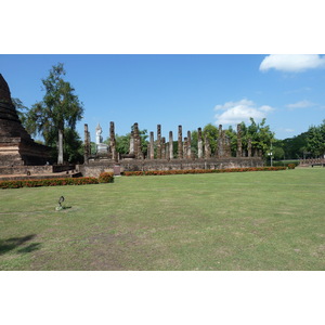รูปถ่าย ไทย(Thailand) สุโขทัย(Sukhothai) 2010-12 158