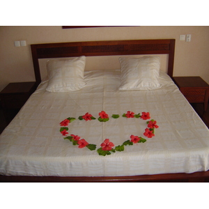 รูปถ่าย เฟรนช์โพลี่นีเซีย(Polynesia) มูเรีย(Moorea) โรงแรมเพิร์ลรีสอร์ต(Pearl Resort Hotel) 2006-04 40
