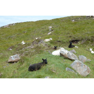 รูปถ่าย อังกฤษ(United Kingdom) สกอตแลนด์(Scotland) แกร์ลอค(Gairloch) 2011-07 52
