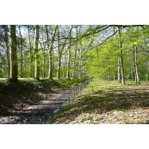 รูปถ่าย ฝรั่งเศส(France) ปราสาทเชอนงโซ(Chenonceau Castle) สวนปราสาทเชอนงโซ(Gardens of Chenonceau) 2008-04 9
