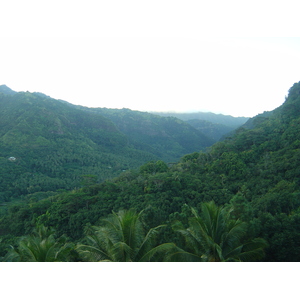 รูปถ่าย เฟรนช์โพลี่นีเซีย(Polynesia) หมู่เกาะมาร์เคซัส(Marquises) 2006-04 220