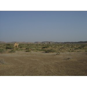 รูปถ่าย โอมาน(Oman) จากบูไมิไปถนนมาฮาดา(Buraimi to Mahada road) 2005-03 44