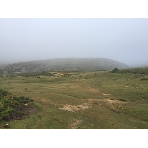 รูปถ่าย ฝรั่งเศส(France) คอร์สิคา(Corsica) อัลตาร็อกกา(Alta Rocca) 2017-09 11