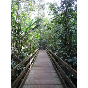 รูปถ่าย นิวแคลิโดเนีย(New Caledonia) อุทยานริเวียร์เบลอ(Parc de la Riviere Bleue) โรงแรมเลอกร็องกาโอรี(Le Grand Kaori) 2010-05 36