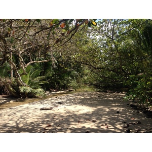 รูปถ่าย คอสตาริกา(Costa Rica) กาอุยตา(Cahuita) 2015-03 242