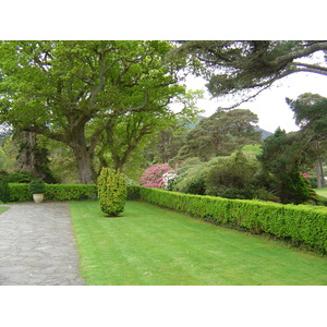 รูปถ่าย ไอร์แลนด์(Ireland) เคอร์รี่(Kerry) สวนสาธารณะคิลลาร์นีย์เนชั่นเนล(Killarney National Park) บ้านมัครอส(Muckross House) 2004-05 15
