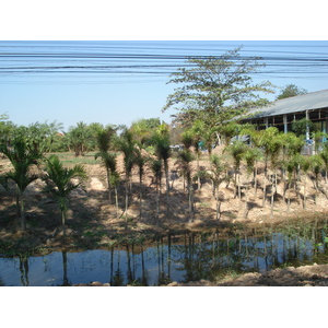 รูปถ่าย ไทย(Thailand) พิษณุโลก(Phitsanulok) ถนนมิตรภาพ(Mittraparp Road) 2008-01 12