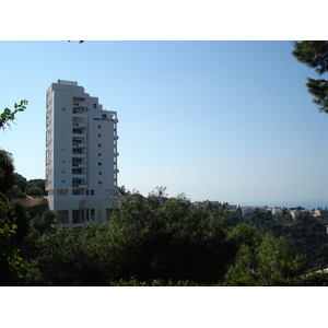 รูปถ่าย อิสราเอล(Israel) ไฮฟา(Haifa) คาร์เมล(Carmel) 2006-12 15