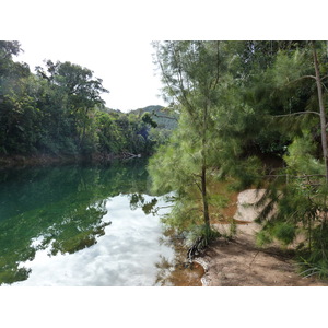 รูปถ่าย นิวแคลิโดเนีย(New Caledonia) อุทยานริเวียร์เบลอ(Parc de la Riviere Bleue) 2010-05 157