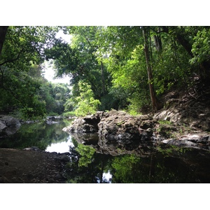 รูปถ่าย คอสตาริกา(Costa Rica) มอนเตซูมา(Montezuma) 2015-03 377