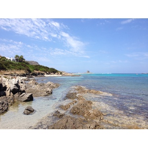 รูปถ่าย อิตาลี(Italy) ซาร์ดิเนีย(Sardinia) แหลมกาโปเดลฟัลโกเน(Capo del Falcone) 2015-06 48