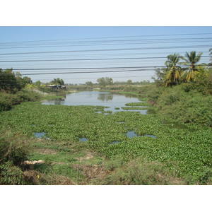 รูปถ่าย ไทย(Thailand) พิษณุโลก(Phitsanulok) ถนนมิตรภาพ(Mittraparp Road) 2008-01 23