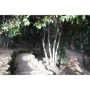 รูปถ่าย อิตาลี(Italy) โรม(Rome) วิลลาชาร์รา(Villa Sciarra) 2007-11 67