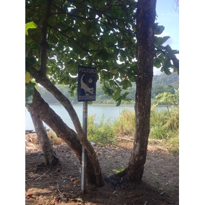 รูปถ่าย คอสตาริกา(Costa Rica) โดมินิกัล(Dominical) 2015-03 58