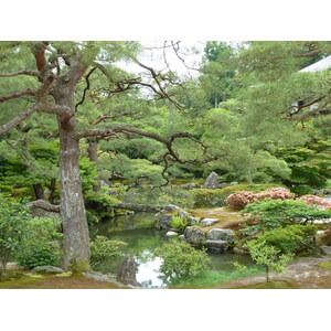 รูปถ่าย ญี่ปุ่น(Japan) เกียวโต(Kyoto) วัดกินกะกุจิ (ศาลาเงิน)(Ginkakuji Temple(Silver Pavilion)) 2010-06 54