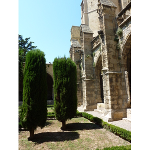รูปถ่าย ฝรั่งเศส(France) นาร์บอน(Narbonne) 2009-07 138