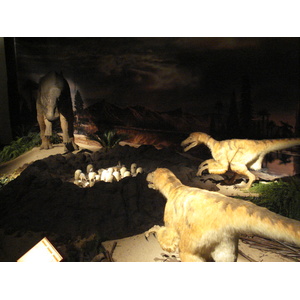 รูปถ่าย ฝรั่งเศส(France) ปารีส(Paris) ปาเลเดอลาเดกูแวร์ต(Palace of Discovery) 2006-04 8