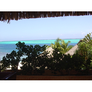 รูปถ่าย เฟรนช์โพลี่นีเซีย(Polynesia) มูเรีย(Moorea) โรงแรมเพิร์ลรีสอร์ต(Pearl Resort Hotel) 2006-04 39