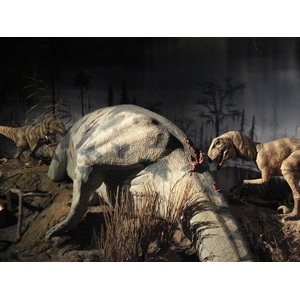 รูปถ่าย ฝรั่งเศส(France) ปารีส(Paris) ปาเลเดอลาเดกูแวร์ต(Palace of Discovery) 2006-04 15