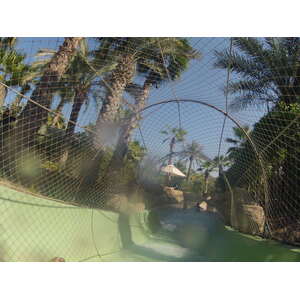 รูปถ่าย สหรัฐอาหรับเอมิเรตส์(United Arab Emirates) ดูไบ(Dubai) สวนน้ำอควาเวนเจอร์ ดูไบ(Dubai Aquaventure) 2012-01 37