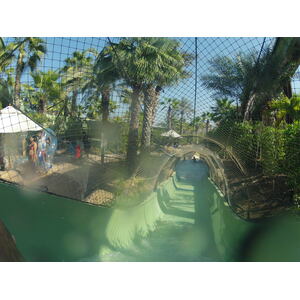รูปถ่าย สหรัฐอาหรับเอมิเรตส์(United Arab Emirates) ดูไบ(Dubai) สวนน้ำอควาเวนเจอร์ ดูไบ(Dubai Aquaventure) 2012-01 41