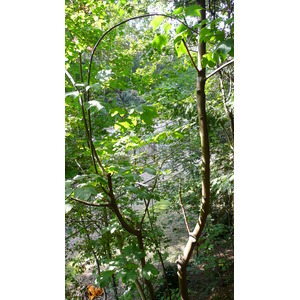 รูปถ่าย ฝรั่งเศส(France) ปารีส(Paris) สวนบุต-โชมง(Parc des Buttes Chaumont) 2007-08 240