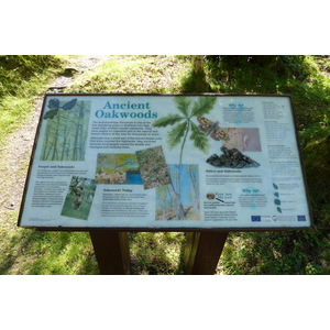 รูปถ่าย อังกฤษ(United Kingdom) สกอตแลนด์(Scotland) เซเลน(Salen) 2011-07 51