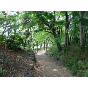 รูปถ่าย ญี่ปุ่น(Japan) โตเกียว(Tokyo) สวนชิบะ(Shiba Park) 2010-06 7