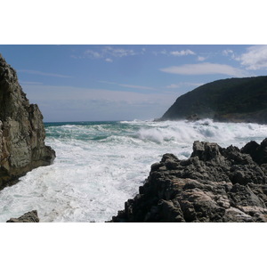 รูปถ่าย แอฟริกาใต้(South Africa) อุทยานแห่งชาติซิตซิคัมมา(Tsitsikamma National Park) 2008-09 279