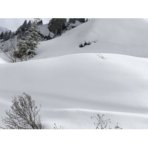 รูปถ่าย ฝรั่งเศส(France) เมแฌฟว์(Megeve) 2019-03 58