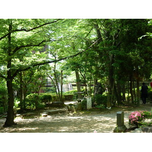 รูปถ่าย ญี่ปุ่น(Japan) โตเกียว(Tokyo) สวนชิบะ(Shiba Park) 2010-06 11