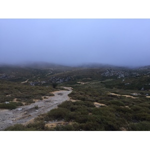 รูปถ่าย ฝรั่งเศส(France) คอร์สิคา(Corsica) อัลตาร็อกกา(Alta Rocca) 2017-09 7
