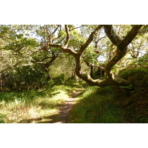 รูปถ่าย อังกฤษ(United Kingdom) สกอตแลนด์(Scotland) เซเลน(Salen) 2011-07 36