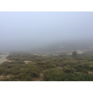 รูปถ่าย ฝรั่งเศส(France) คอร์สิคา(Corsica) อัลตาร็อกกา(Alta Rocca) 2017-09 4