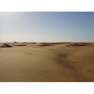 รูปถ่าย สหรัฐอาหรับเอมิเรตส์(United Arab Emirates) จากดูไบไปถนนอัลอิน(Dubai to Al Ain road) 2005-03 60