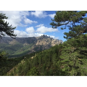 รูปถ่าย ฝรั่งเศส(France) คอร์สิคา(Corsica) ป่าลอสเปดาเล(L'ospedale Forest) 2017-09 5