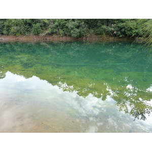 รูปถ่าย นิวแคลิโดเนีย(New Caledonia) อุทยานริเวียร์เบลอ(Parc de la Riviere Bleue) 2010-05 7