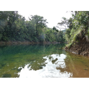 รูปถ่าย นิวแคลิโดเนีย(New Caledonia) อุทยานริเวียร์เบลอ(Parc de la Riviere Bleue) 2010-05 160