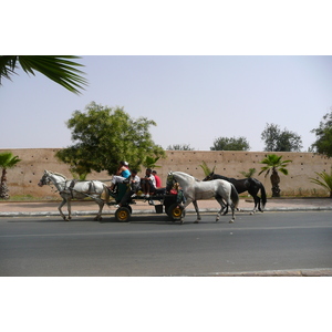 รูปถ่าย โมร็อกโก(Morocco) เม็กเนส(Meknes) 2008-07 51