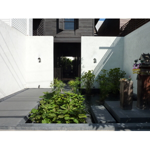 รูปถ่าย ไทย(Thailand) เชียงใหม่(Chiang Mai) ถนนราชดำเนิน(Rachadamnoen road) 2009-12 48