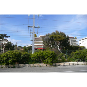 รูปถ่าย ฝรั่งเศส(France) ม็องเดอลีเยอ(Mandelieu) 2008-03 21
