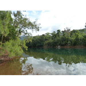 รูปถ่าย นิวแคลิโดเนีย(New Caledonia) อุทยานริเวียร์เบลอ(Parc de la Riviere Bleue) 2010-05 146