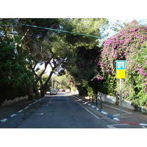 รูปถ่าย อิสราเอล(Israel) ไฮฟา(Haifa) คาร์เมล(Carmel) 2006-12 39
