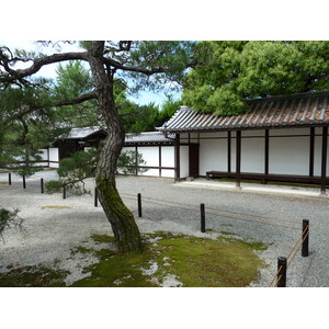 รูปถ่าย ญี่ปุ่น(Japan) เกียวโต(Kyoto) วัดนิชิฮงกันจิ(Nishi Honganji Temple) 2010-06 7