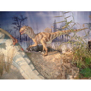 รูปถ่าย ฝรั่งเศส(France) ปารีส(Paris) ปาเลเดอลาเดกูแวร์ต(Palace of Discovery) 2006-04 6