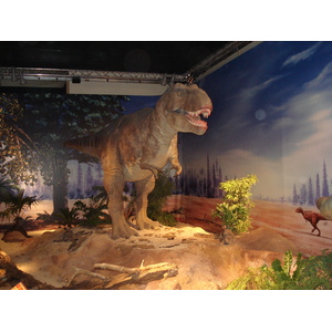 รูปถ่าย ฝรั่งเศส(France) ปารีส(Paris) ปาเลเดอลาเดกูแวร์ต(Palace of Discovery) 2006-04 53