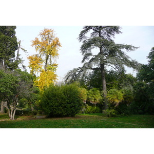 รูปถ่าย อิตาลี(Italy) โรม(Rome) วิลลาชาร์รา(Villa Sciarra) 2007-11 53