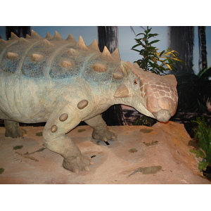 รูปถ่าย ฝรั่งเศส(France) ปารีส(Paris) ปาเลเดอลาเดกูแวร์ต(Palace of Discovery) 2006-04 48